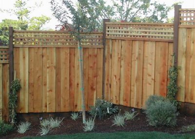 Retaining Wall (3)